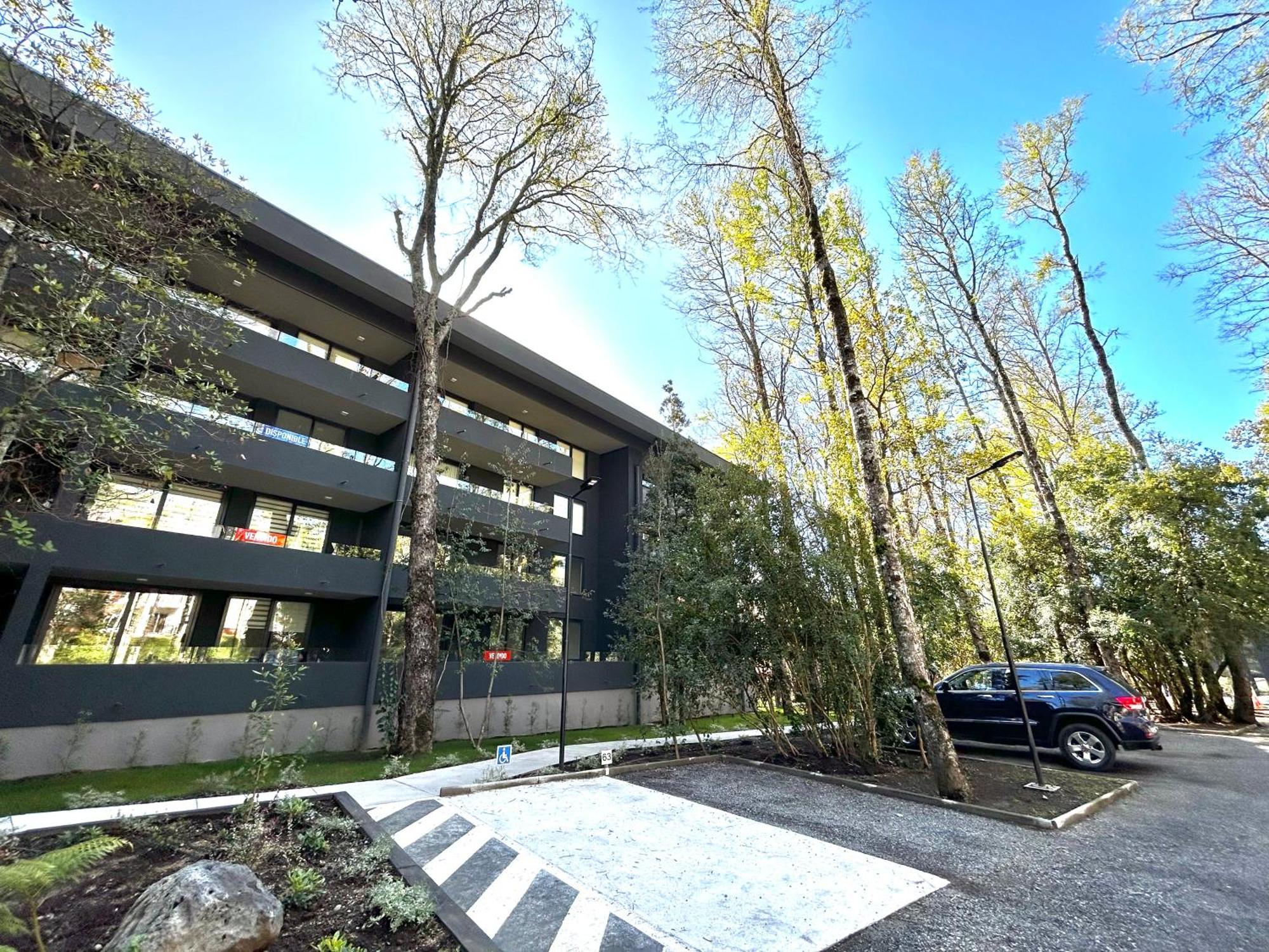 Departamento * Pucon